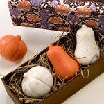 Gianna Rose Atelier Pumpkin & Squash Soaps in Slider Gift Box