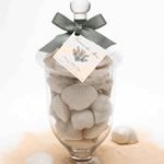 Gianna Rose Atelier Seashell Soaps in Large Apothecary Jar