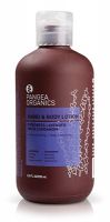Pangea Organics Hand and Body Lotion - Pyrenees Lavender with Cardamom