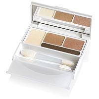 DHC Eye Shadow Perfect Pro