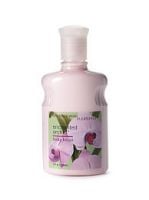 Bath & Body Works Signature Collection Body Lotion Enchanted Orchid