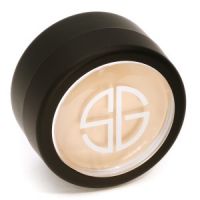 Studio Gear Hidden Agenda Concealer