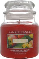 Yankee Candle Company Macintosh Housewarmer Jar Candle
