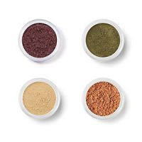 bareMinerals Starlet Eyecolor Collection