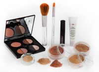 Sheer Cover Introductory Kit