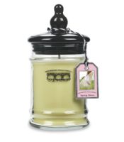 Bridgewater Spring Dress Small Jar Candle