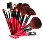 Shany Cosmetics 13PC Professional Brush Set