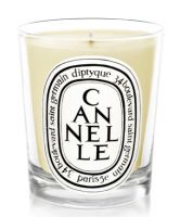 Diptyque Cinnamon Candle