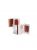 Bath & Body Works Goldie Lip Kit Luxe