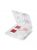 Bath & Body Works Goldie Alice in Wonderland Lip Kit
