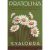 Valobra Pratolina Soap