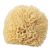 H2O+ Natural Sea Sponge