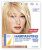 Clairol HairPainting Blonde Highlights