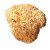 Caswell-Massey Natural Sea Sponge