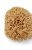 Crabtree and Evelyn Bath-Size Natural Sea Sponge