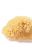 Crabtree and Evelyn Body-Size Natural Sea Sponge