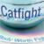 TIGI Catwalk Catfight Texturiser