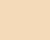 Prestige Everyday Cover Concealer Stick