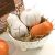 Gianna Rose Atelier Pumpkin & Squash in Footed Soap Dish