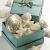 Gianna Rose Atelier Seashell Soap