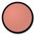 Lipstick Queen Oxymoron Free Ride Matte Gloss