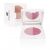 NP Set Baked Powder Set