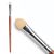DHC Eye Color Tip (L)