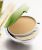 Garden Botanika Skin Perfecting Anti-Aging Cream Foundation