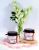 Old Mill Tuberose Moss Natural Sugar Scrub
