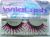Ardell Wild Lash Diva