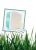 nettiescrub Cedarmint Soap