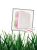nettiescrub Grapefruit Soap