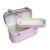 Doll Face Pink Train Case