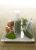 Actifirm Renovation Mushroom Mask