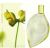 Kenzo Summer Eau De Parfum Spray