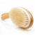 Talulah Japanese Natural Body Brush