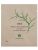 WEI Tibetan Chrysanthemum Correcting Eye Treatment Pads