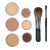 Colorevolution Light to Medium Kit