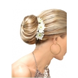 Easihair Elegance by easihair Hairpieces