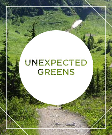 The Summer Shade: Unexpected Green