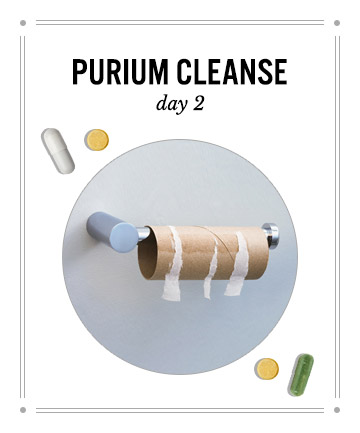 Purium Cleanse Day 2