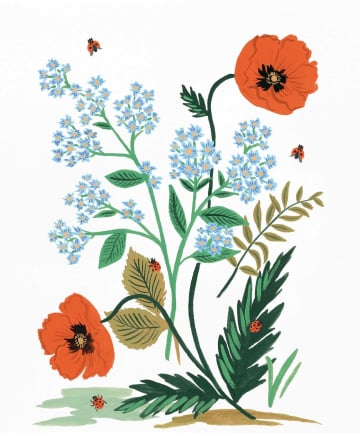 Rifle Paper Co. Iceland Poppy Art, $24 and up