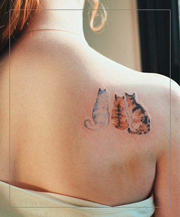 Maine Coons Cat Portrait Tattoo Design – Tattoos Wizard Designs