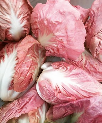 Pink lettuce has major health benefits