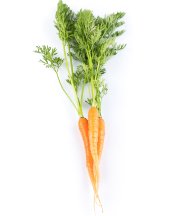 Carrots