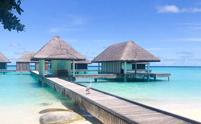 I Tried It: A Seriously Luxurious Abhyanga Massage in the Maldives