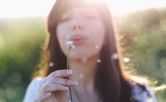 How Dandelion Extract Can Actually Make a Difference in Your Skin Care
