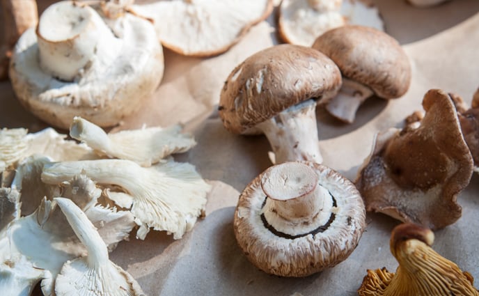 Are Medicinal Mushrooms What's Missing From Your Diet?