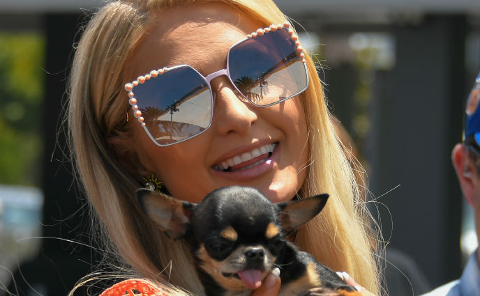 Is the World Ready for a Paris Hilton Skin Care Line?