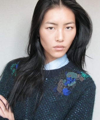 http://images.totalbeauty.com/uploads/editorial/assets/thumb/liu-wen-inside.jpg